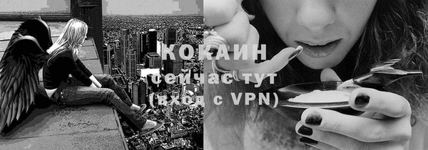 Альфа ПВП Верея