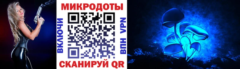Псилоцибиновые грибы прущие грибы  Данилов 